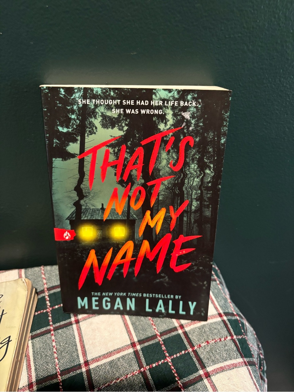That’s Not My Name by Megan Lally- A NY Times Bestseller